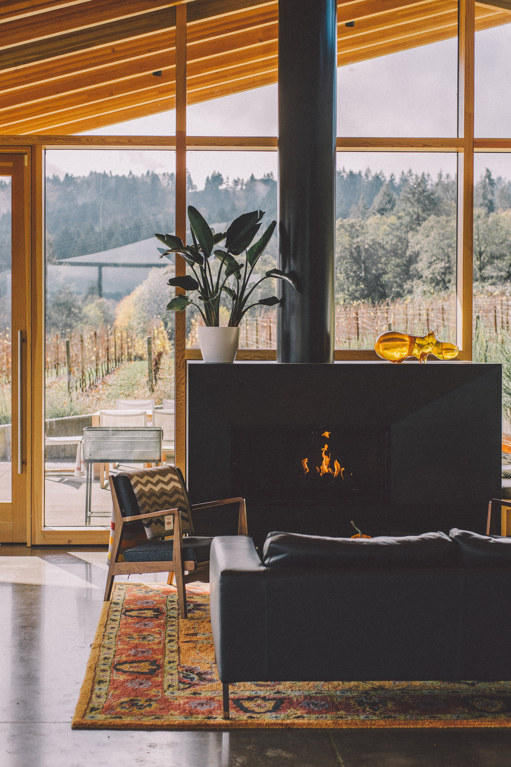 Open Fireplaces Vs Wood Burning Stoves: The Great Debate | ECOFUEL™