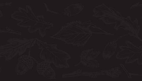 Better Fires. Stronger Forests.