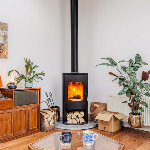 Wood-burning stove in a living room with plants and furniture.