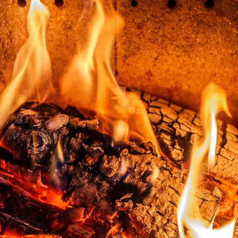 City Bag® Kiln Dried Birch Firewood