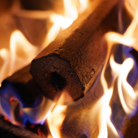 Close-up of a ECOFUEL Pinikay wooden log burning with flames