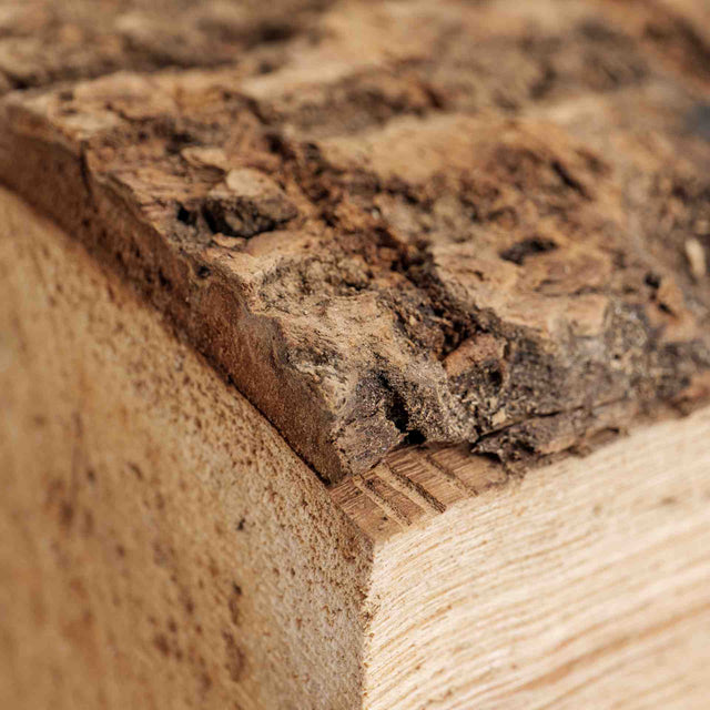 A CLOSE LOOK OF ASH FIREWOOD LOGS