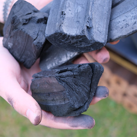 Close-up of ECOFUEL™ Organic Alderwood Lumpwood Charcoal showing real wood grain and texture in hand